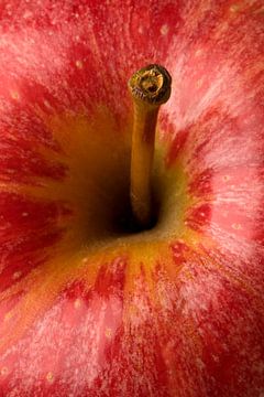 Appel steeltje van een gezonde lekkere rode appel van Frans Rombout