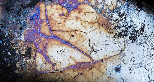 IJzerbacteriën kunstwerk