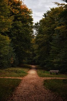 Wanderweg Gut Hoekelum (Herftst)