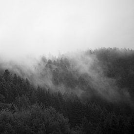 La forêt dans la brume #2 sur Floris Kok