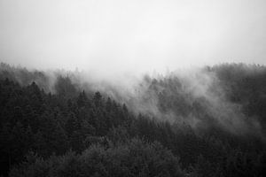 La forêt dans la brume #2 sur Floris Kok