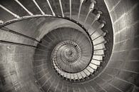 spiral staircase by Anneke Hooijer thumbnail