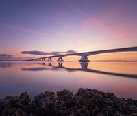 Zeelandbrug during sunrise
