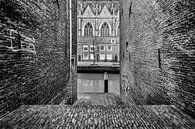 Dordrecht zicht op  Grote Kerk van Danny den Breejen thumbnail