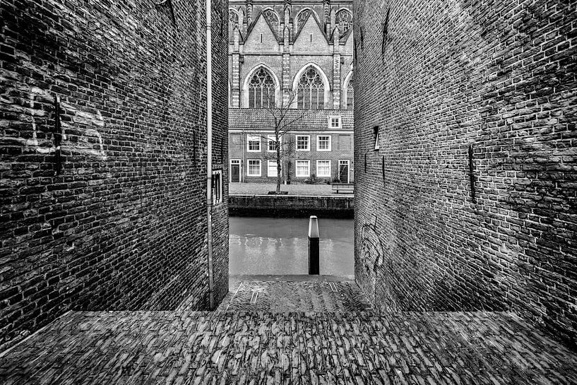 Dordrecht zicht op  Grote Kerk van Danny den Breejen