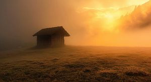 Morgendämmerung auf Alm