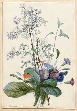 Een boeket met bloemen en insecten, Pierre-Joseph Redouté