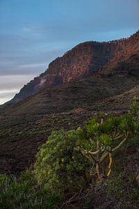 Gran Canaria von Severin Pomsel