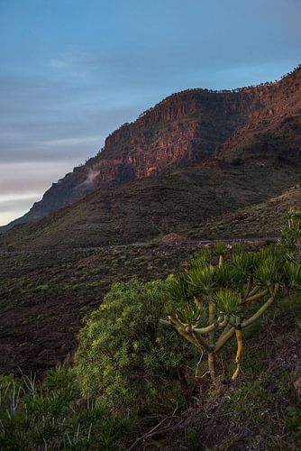 Gran Canaria by Severin Pomsel