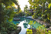 Tropical Paradise (Kontiki Beach Hotel, Curacao)
