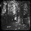 Der Weg zum Friedhof von Leopold Brix