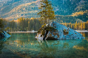 Frühling am Hintersee von Martin Wasilewski