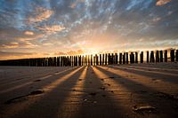 Sunbeams