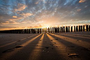 Rayons de soleil