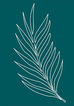 Minimalist Nature & Abstract Illustration Collection