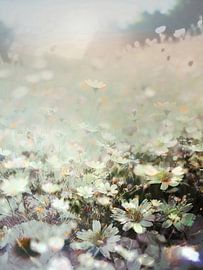 The Fields III by Zand