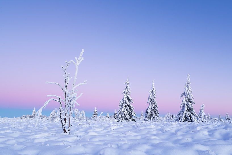 Winterhochmoor von Stephan Ihrman