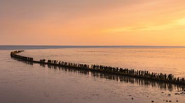 Alte Masten auf dem Wattenmeer von Marga Vroom