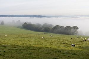 Mist over de velden.