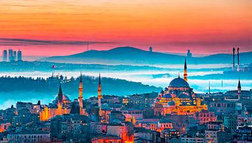 Istanbul city with mosque by Mustafa Kurnaz