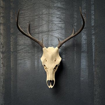 An antler on the wall without an antler on the wall