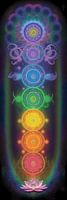 Chakra's