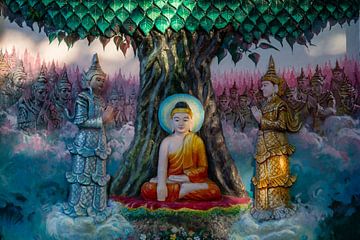 Boeddha van Antwan Janssen