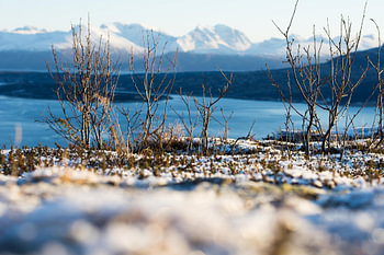 Straumsfjorden