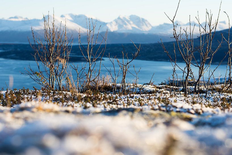 Straumsfjorden van Photos by Ilse