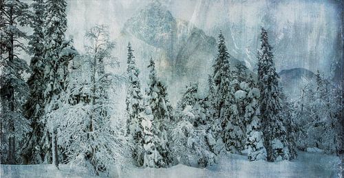 Sneeuwlandschap met bomen en bergen