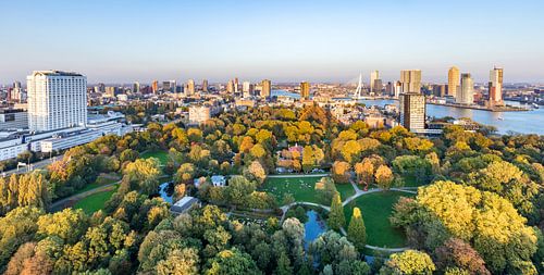 View from the Euromast over Rotterdam and The Park in autumn