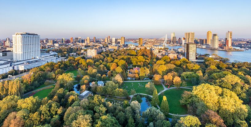 View from the Euromast over Rotterdam and The Park in autumn by vanrijsbergen