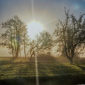 Landschaft an einem nebligen Morgen 3 von SW Arts