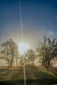 Landschap op een mistige ochtend 3