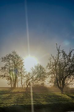 Landschaft an einem nebligen Morgen 3