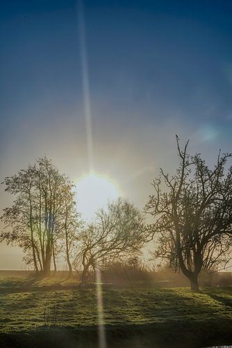 Landschaft an einem nebligen Morgen 3