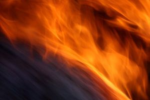 Gros plan sur un feu de camp
