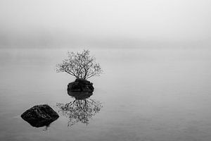 Stilleven Hintersee van Willem Laros | Reis- en landschapsfotografie