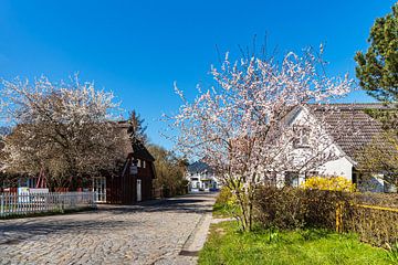 Street and houses in Zingst on the Fischland-Darß