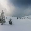 Berglandschap "Gerzkopf in de Winter" van Coen Weesjes