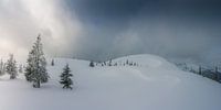 Berglandschap "Gerzkopf in de Winter" van Coen Weesjes thumbnail