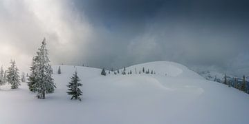 Berglandschaft "Gerzkopf im Winter". von Coen Weesjes