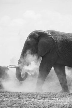 Elefant in Uganda in Stoff von Julie Brunsting