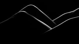 Body triangles van Dirk Smets