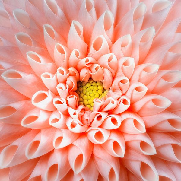 Center by Anneliese Grünwald-Märkl