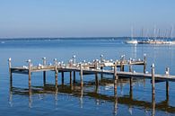 Jetty with seagulls, Steinhuder Meer by Torsten Krüger thumbnail