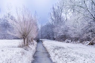 winter in het waerderhout bos 3