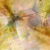 Flying high von Annette Schmucker