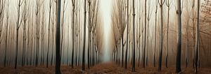 Spaziergang im Wald