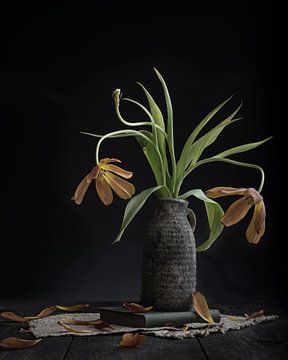 Kultivierte Tulpen von Anoeska Vermeij Fotografie